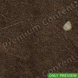 PBR Substance Material of Ground Forest 